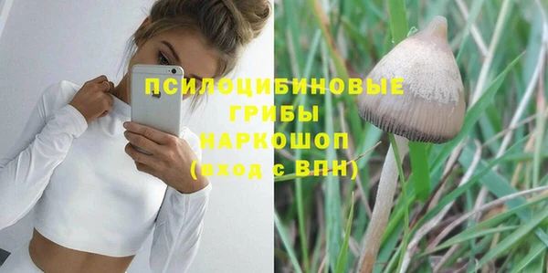 крисы Алзамай