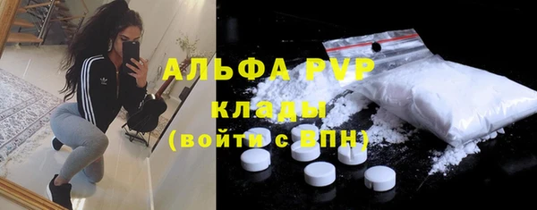 крисы Алзамай
