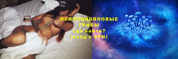 apvp Алексин