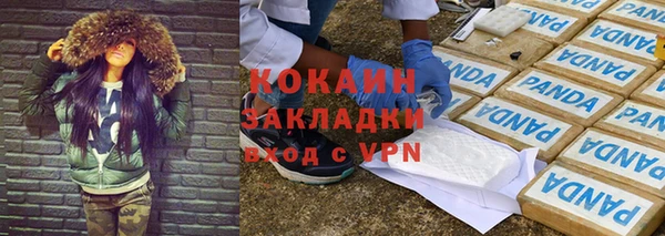 крисы Алзамай