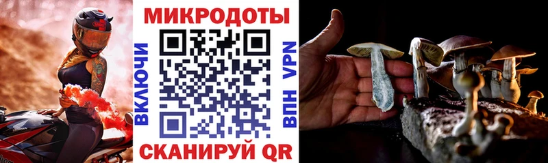 Галлюциногенные грибы GOLDEN TEACHER дарнет шоп MEGA как зайти Новоуральск